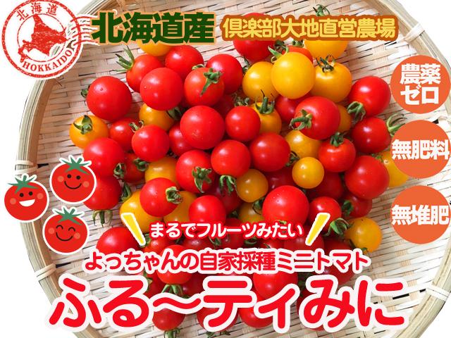 自然栽培の野菜を宅配する倶楽部大地