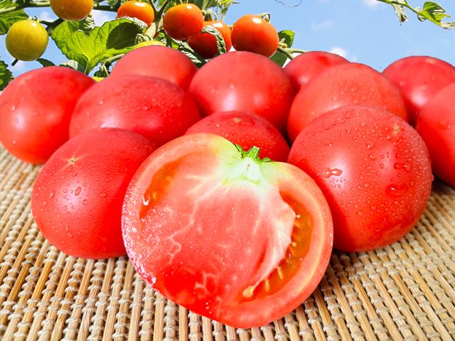 農薬不使用･無堆肥･無肥料自然栽培太陽のトマト