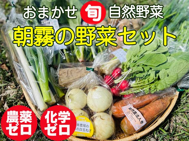 農薬不使用･無堆肥･無肥料朝霧の野菜セット