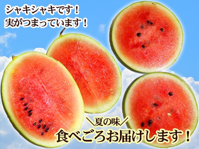 すずか農園 こんにちは♪ ⁡ 由宇町内のスーパーに気になるキッチンカー 食欲