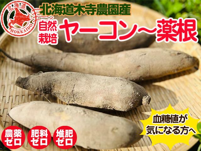 自然栽培の野菜を宅配する倶楽部大地