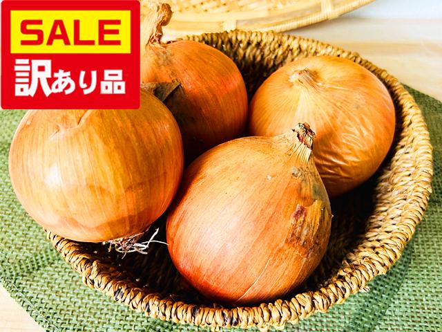 農薬不使用･無堆肥･無肥料【訳あり】瀬野さんの自然栽培縄文玉ねぎ