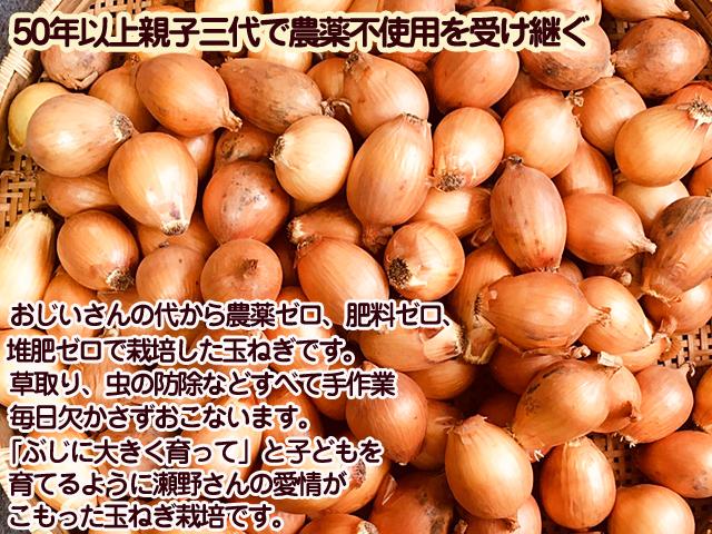 自然栽培　玉ねぎ　10Kg 固定種　農薬不使用　吊るし玉ねぎ　長期保管 農薬・化学肥料・除草剤・動物性堆肥不使用・ 玉ねぎ（固定種