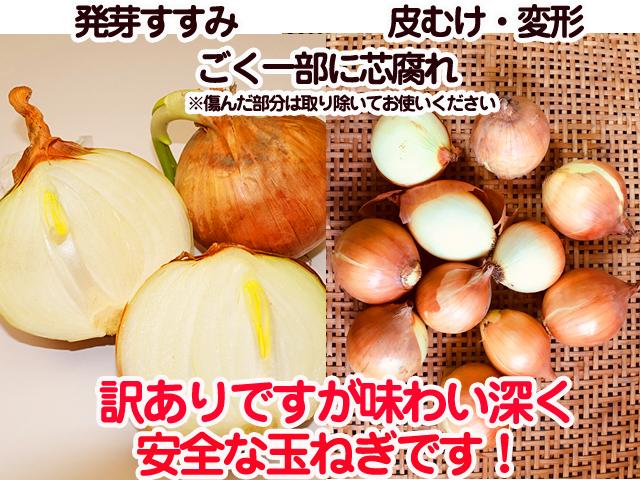 ファッション姫 通販 自然栽培の野菜を宅配する倶楽部大地 野菜