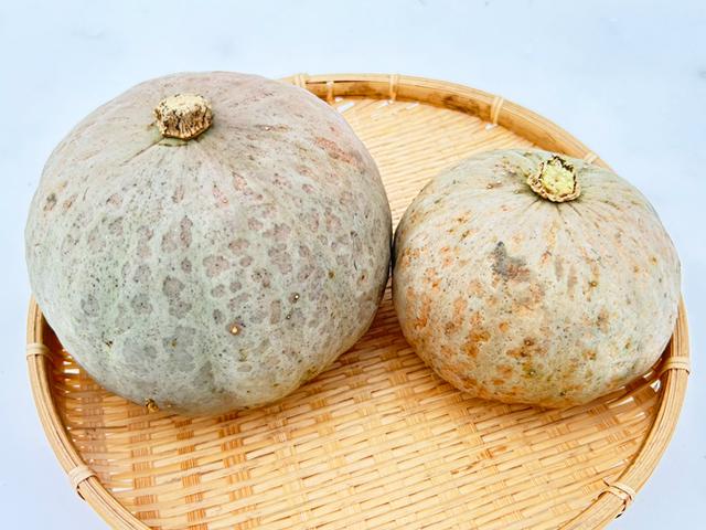 農薬不使用･無堆肥･無肥料てつさんの自然栽培雪化粧かぼちゃ