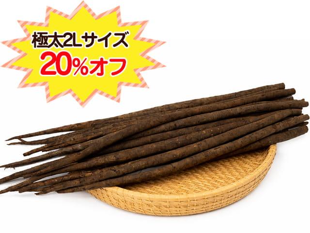 農薬不使用･無堆肥･無肥料自然栽培・固定種秋掘りごぼう