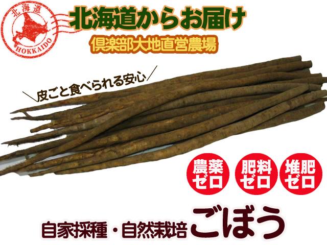 農薬不使用･無堆肥･無肥料自然栽培秋掘りごぼう