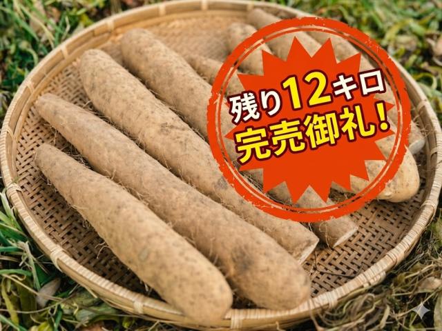 農薬不使用･無化学肥料中西さんの有機農法長いも