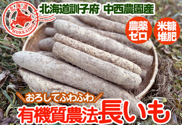 農薬不使用･無堆肥･無肥料中西さんの有機農法長いも