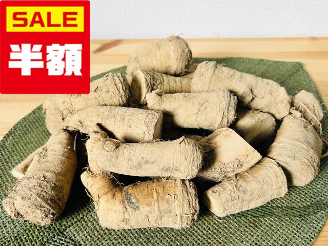 農薬不使用･無堆肥･無肥料【半額】自然栽培山わさび