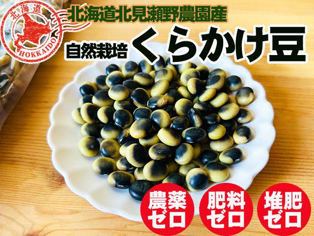 まめぱんださん専用 PANDIESTA（パンディエスタ） リュックサック BAG 鞄 パンダ メンズ