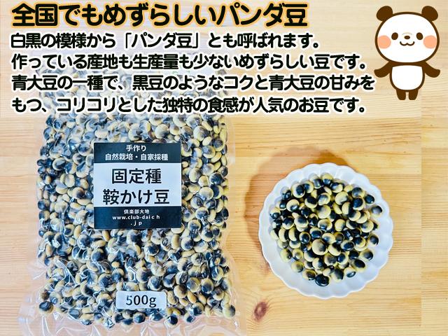 自然栽培の野菜を宅配する倶楽部大地