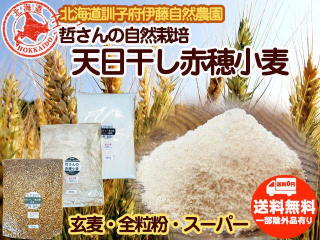 【オープニングセール】 自然栽培の野菜を宅配する倶楽部大地 その他