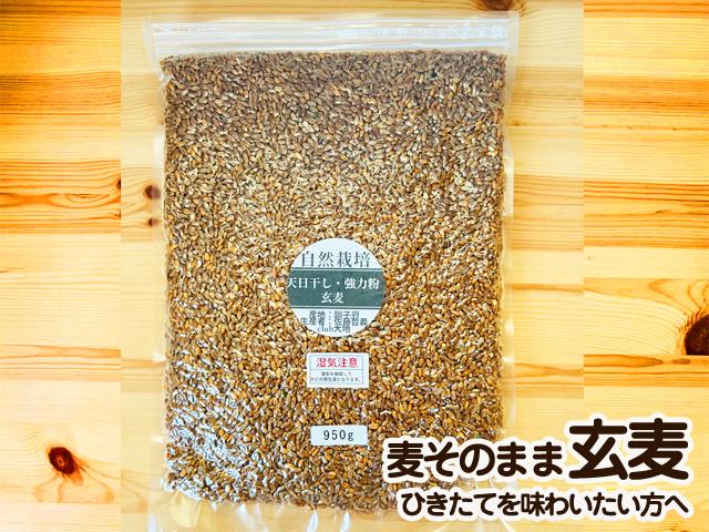 【ファッション通販】 自然栽培の野菜を宅配する倶楽部大地 その他