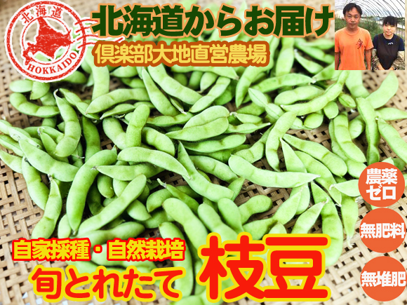 農薬不使用･無堆肥･無肥料【特売】自家採種・自然栽培とれたて枝豆