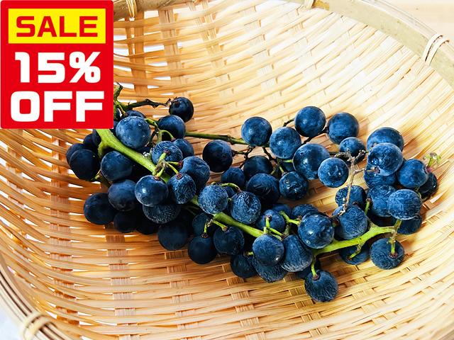 農薬不使用･無堆肥･無肥料【特売】自然栽培山ぶどう