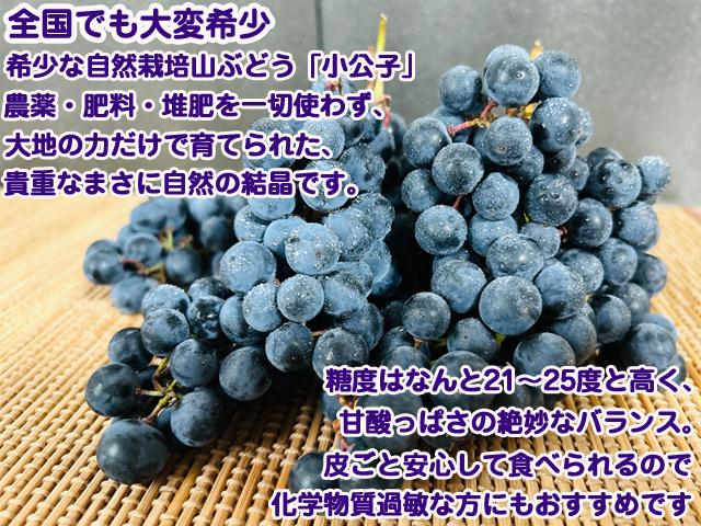 自然栽培の野菜を宅配する倶楽部大地