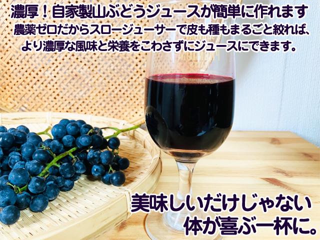 自然栽培の野菜を宅配する倶楽部大地