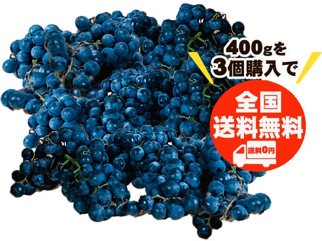 自然栽培の野菜を宅配する倶楽部大地