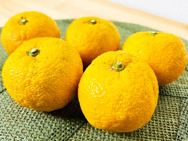 農薬不使用･無堆肥･無肥料自然栽培ゆず