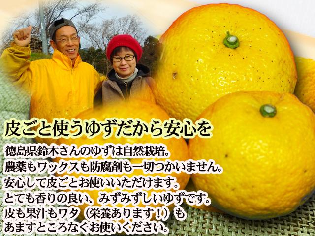 ゆ　収穫祭 ハーベスト 風　ウイッグ 自然栽培の野菜を宅配する倶楽部大地
