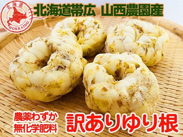 農薬ほんのわずか･無肥料北海道産・越冬ゆり根