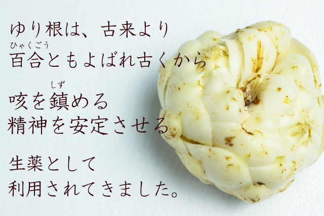 imgrc0134783512.jpg