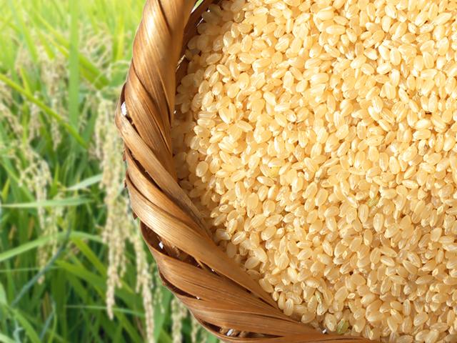 農薬不使用･無堆肥･無肥料秋田の自然栽培玄米『大和米』