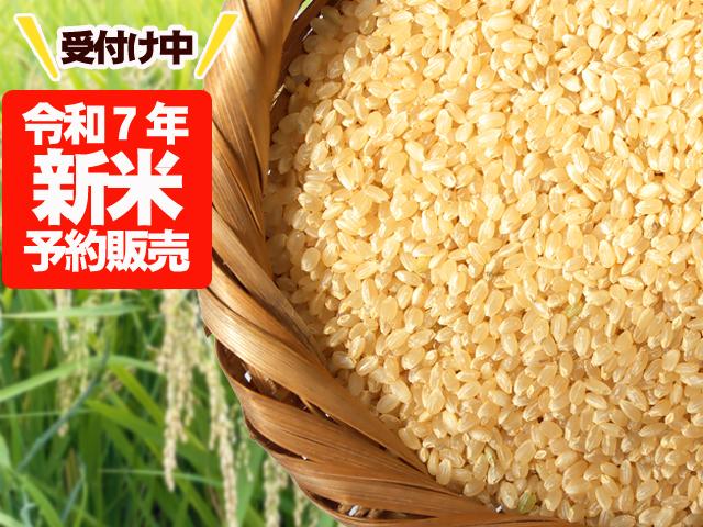 農薬不使用･無堆肥･無肥料【予約】秋田の自然栽培玄米『大和米』