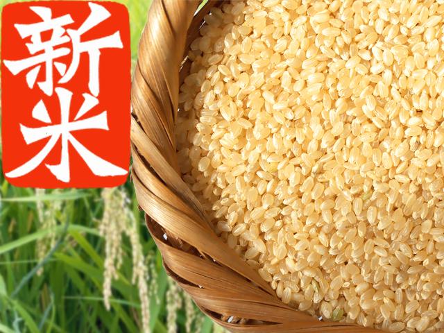 農薬不使用･無堆肥･無肥料【新米】秋田の自然栽培玄米『大和米』