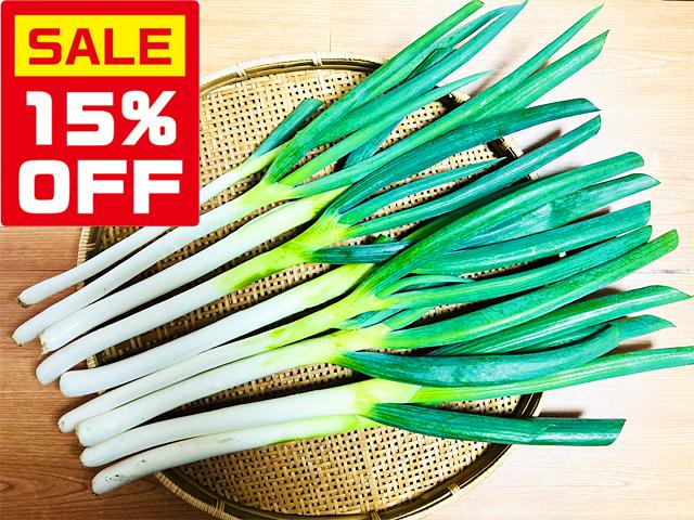 農薬不使用･無堆肥･無肥料【特売】よっちゃんの自家採種・自然栽培長ねぎ～春陽