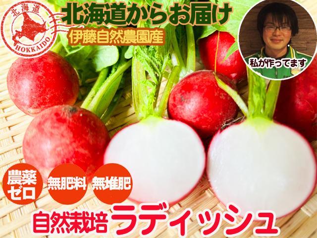 農薬不使用･無堆肥･無肥料てっちゃんの自家採種・自然栽培ラディッシュ