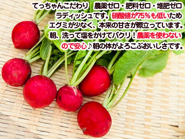 自然栽培の野菜を宅配する倶楽部大地