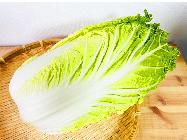 農薬不使用･無堆肥･無肥料奇跡の自然栽培白菜「晴黄美人」