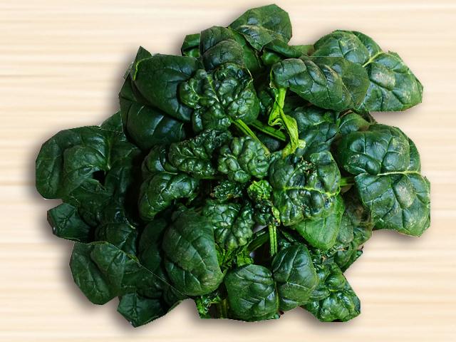 農薬不使用･無堆肥･無肥料植田さんの有機質栽培ちぢみほうれん草