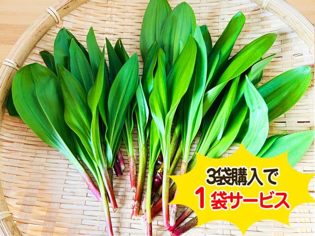 天然物天然行者にんにく