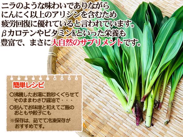 自然栽培の野菜を宅配する倶楽部大地
