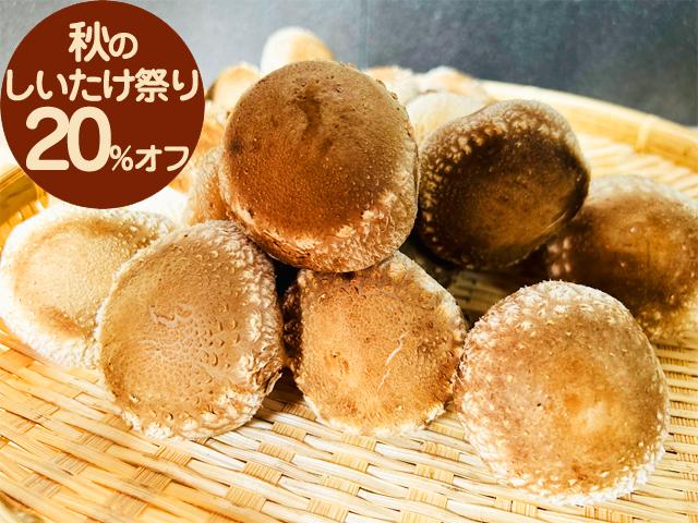 農薬不使用･無堆肥･無肥料【特売】自然栽培原木生しいたけ