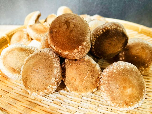 農薬不使用･無堆肥･無肥料自然栽培原木生しいたけ