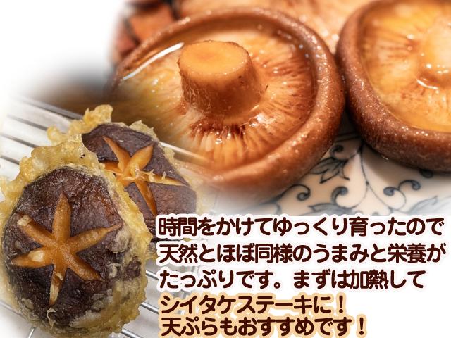 自然栽培の野菜を宅配する倶楽部大地