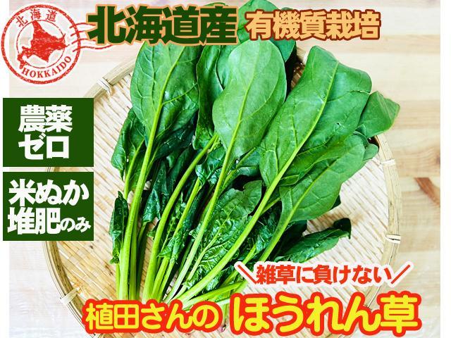 自然栽培の野菜を宅配する倶楽部大地