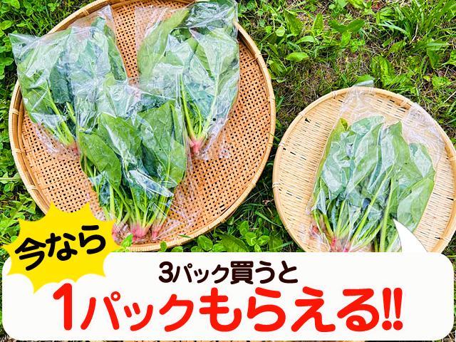 農薬不使用･無化学肥料植田さんの有機質農法『夏ほうれん草』