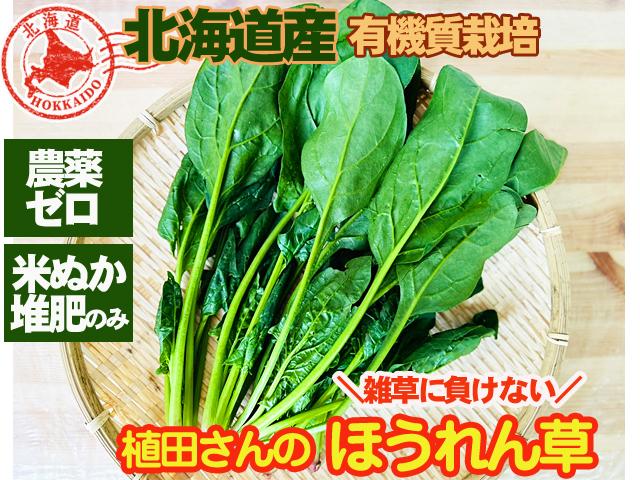 農薬不使用･無化学肥料植田さんの有機質農法ほうれん草