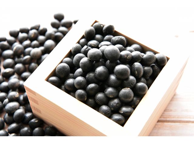 農薬不使用･無堆肥･無肥料自然栽培フクちゃんの艶黒豆