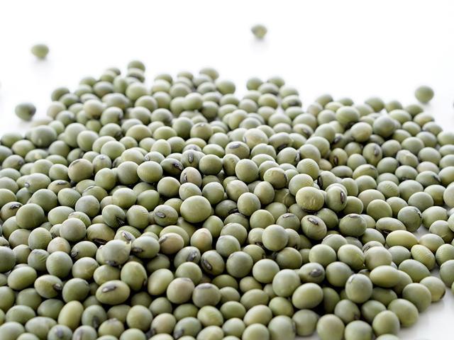 農薬不使用･無堆肥･無肥料自然栽培フクちゃんの青大豆