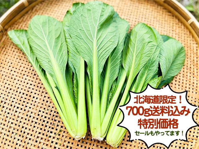 農薬不使用･無堆肥･無肥料よっちゃんの自然栽培小松菜