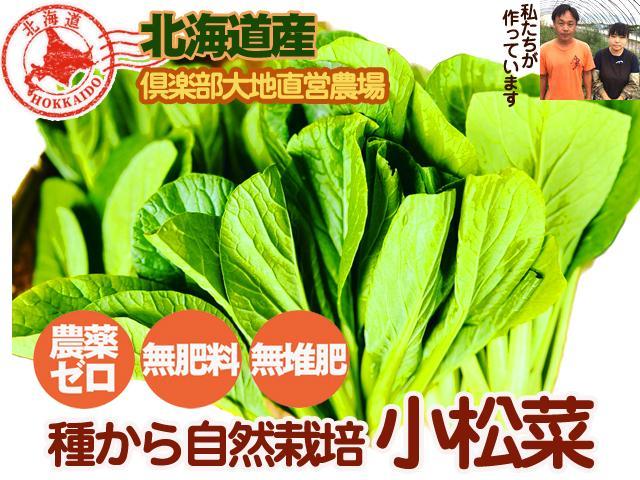 農薬不使用･無堆肥･無肥料よっちゃんの自然栽培小松菜