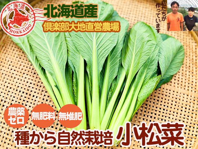 農薬不使用･無堆肥･無肥料自然栽培小松菜