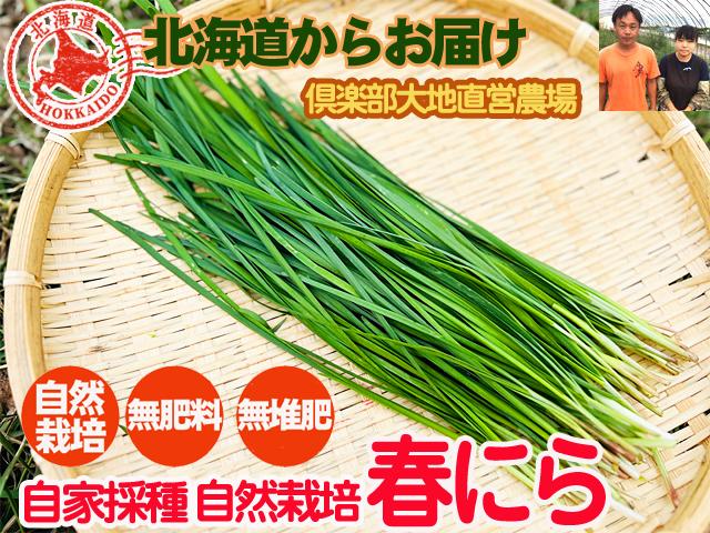 農薬不使用･無堆肥･無肥料自然栽培・自家採種にら