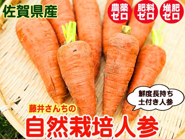 農薬不使用･無化学肥料有機質農法佐賀人参